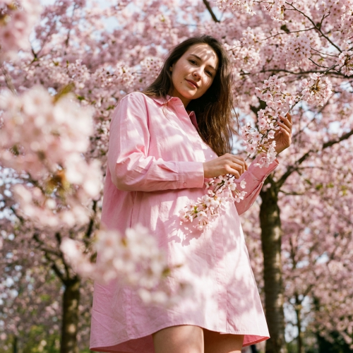 Сакура и стиль